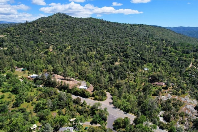 drone / aerial view featuring a mountain view