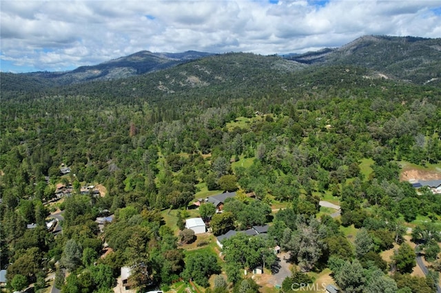 birds eye view of property with a mountain view