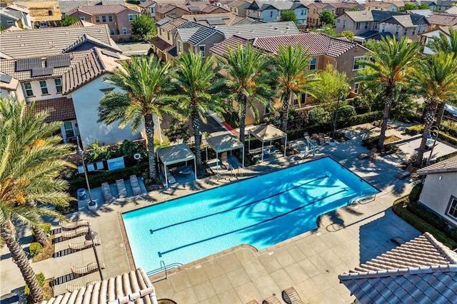 view of pool featuring a patio