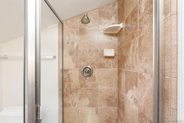 bathroom featuring toilet, vaulted ceiling, and walk in shower