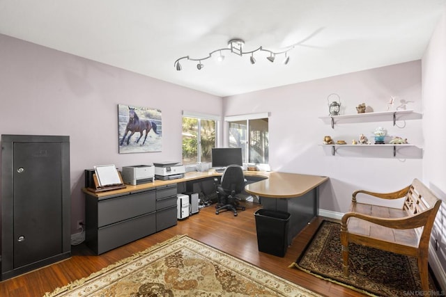 office featuring wood-type flooring