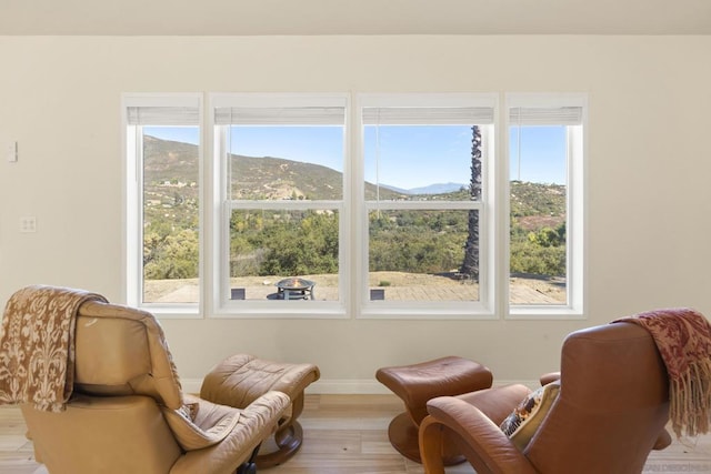 living area featuring a mountain view and light hardwood / wood-style flooring