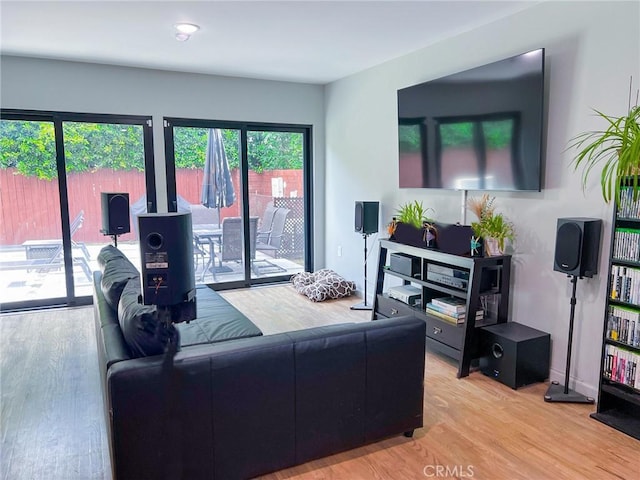 living room with wood-type flooring