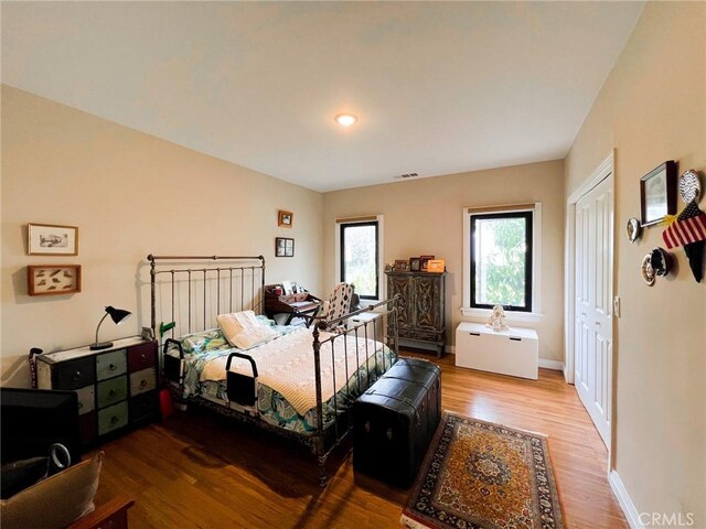 bedroom with a closet and wood-type flooring