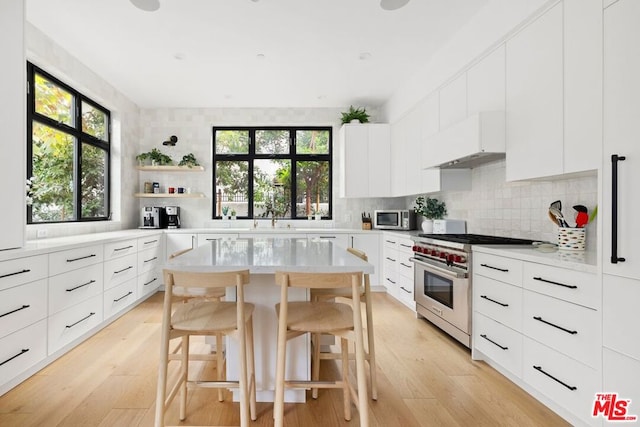 kitchen featuring white cabinetry, plenty of natural light, a center island, and stainless steel appliances