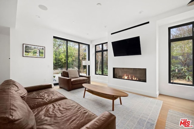 living room featuring light hardwood / wood-style flooring