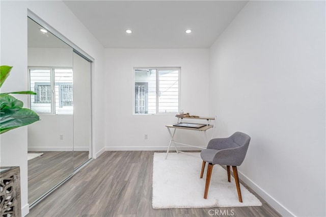 living area with a healthy amount of sunlight and wood-type flooring