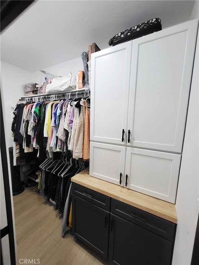 spacious closet featuring light hardwood / wood-style floors