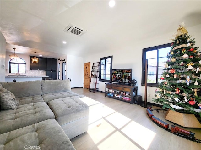 living room with wood-type flooring