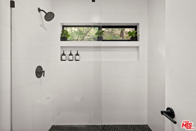 bathroom with a tile shower and a healthy amount of sunlight