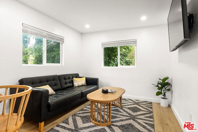 living room with light wood-type flooring and a wealth of natural light