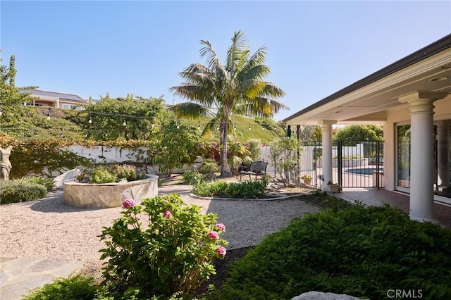 view of yard featuring a patio