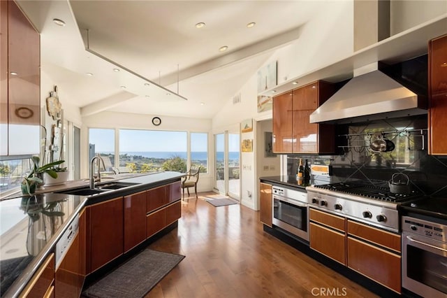 kitchen with appliances with stainless steel finishes, tasteful backsplash, sink, high vaulted ceiling, and dark hardwood / wood-style floors