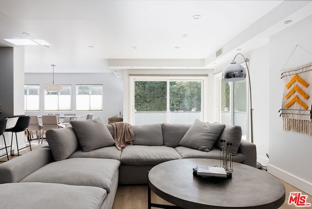 living room with wood-type flooring