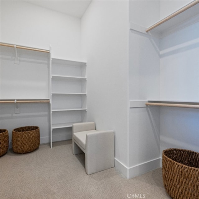 walk in closet with light colored carpet