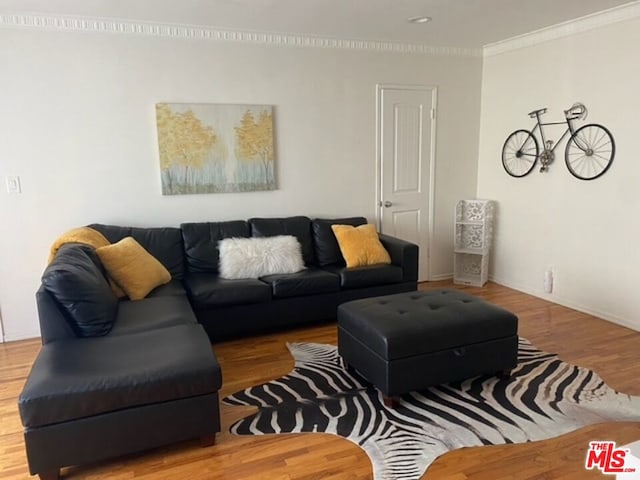 living room with hardwood / wood-style floors and ornamental molding