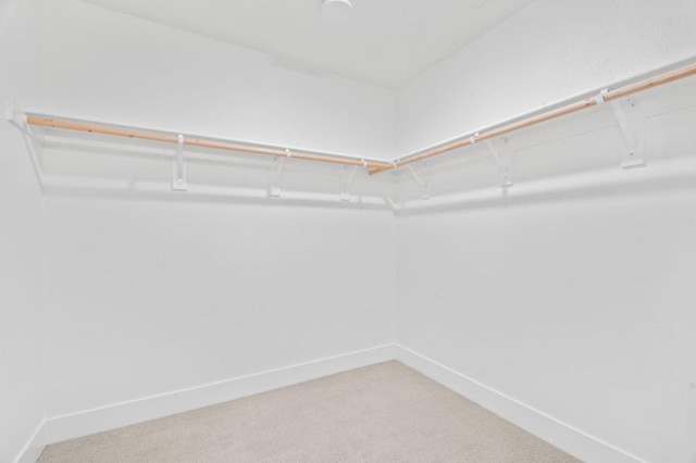 spacious closet featuring carpet floors