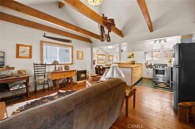 living room featuring lofted ceiling with beams and wood-type flooring