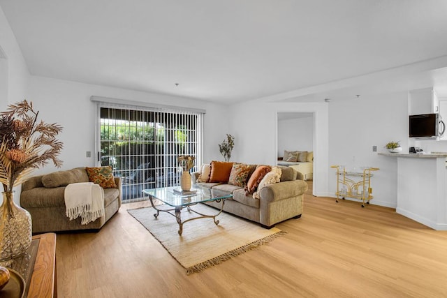 living room with light wood-type flooring