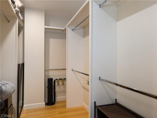 spacious closet featuring light hardwood / wood-style flooring