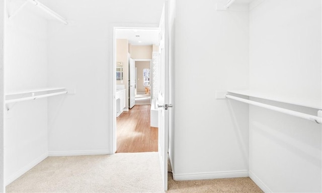 walk in closet featuring carpet floors