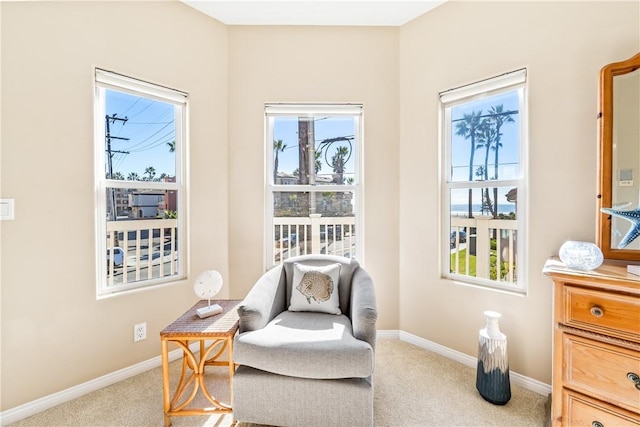 living area with carpet and baseboards