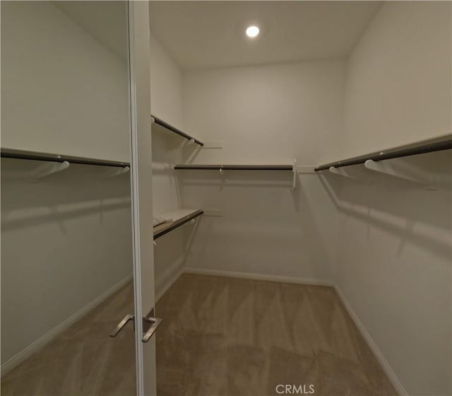 walk in closet featuring carpet flooring