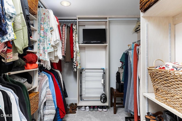 walk in closet featuring carpet floors