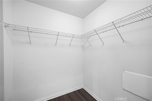 spacious closet featuring dark hardwood / wood-style flooring