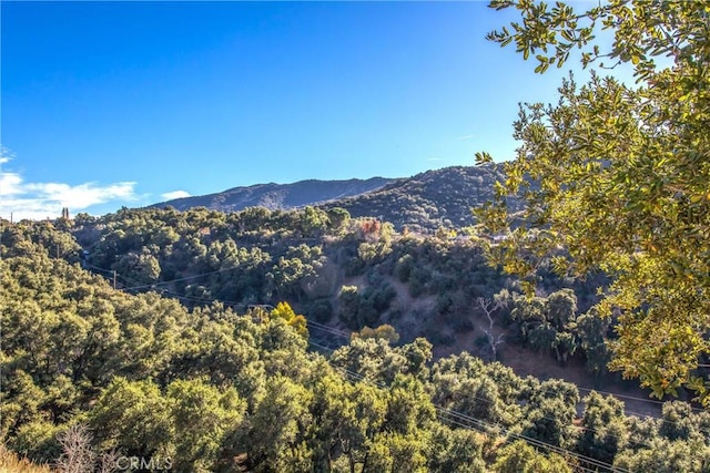 property view of mountains with a wooded view