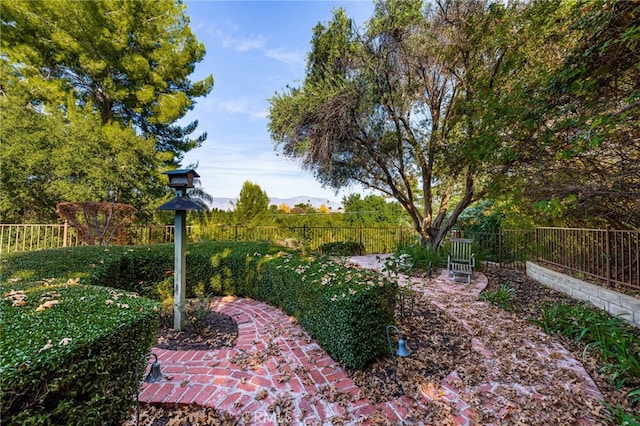 view of yard with a fenced backyard and a patio