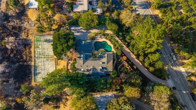 bird's eye view