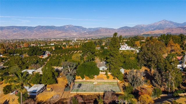 birds eye view of property featuring a mountain view