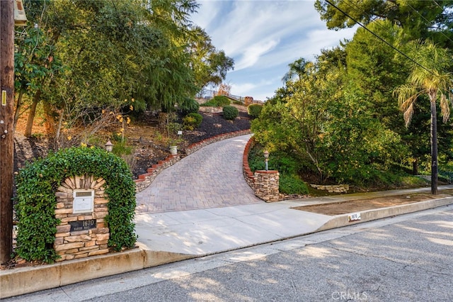 view of home's community with driveway