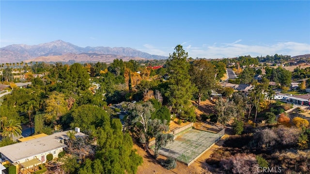 birds eye view of property featuring a mountain view