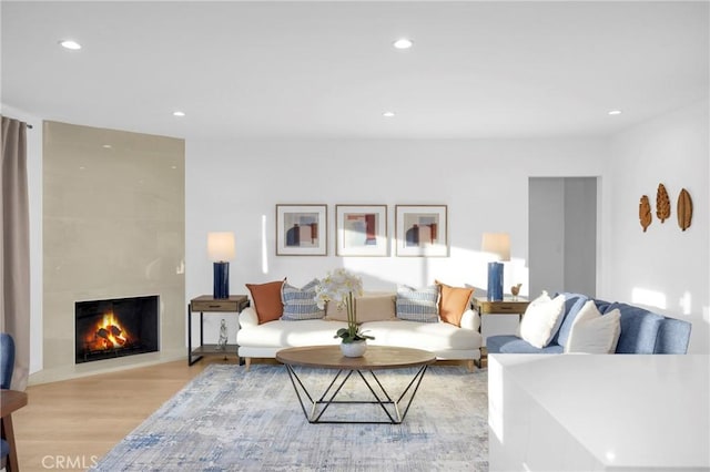 living room featuring a fireplace and light wood-type flooring