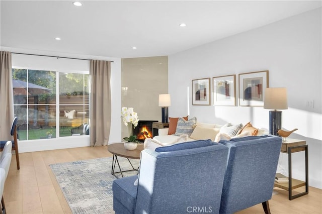 living room featuring light hardwood / wood-style floors