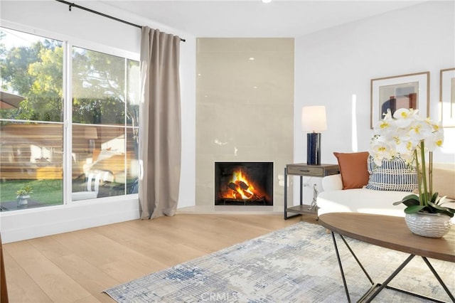 living area featuring a fireplace and wood-type flooring