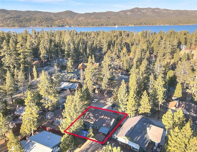 438 Boyd Trl, Big Bear Lake, CA 92315 - photo 73