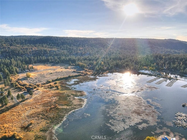 bird's eye view with a view of trees and a water view