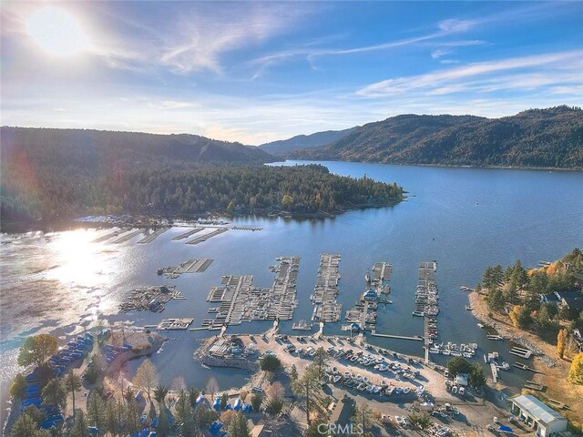 438 Boyd Trl, Big Bear Lake, CA 92315 - photo 75