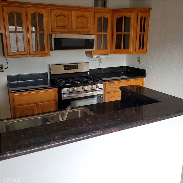 kitchen featuring sink, stainless steel appliances, and dark stone counters