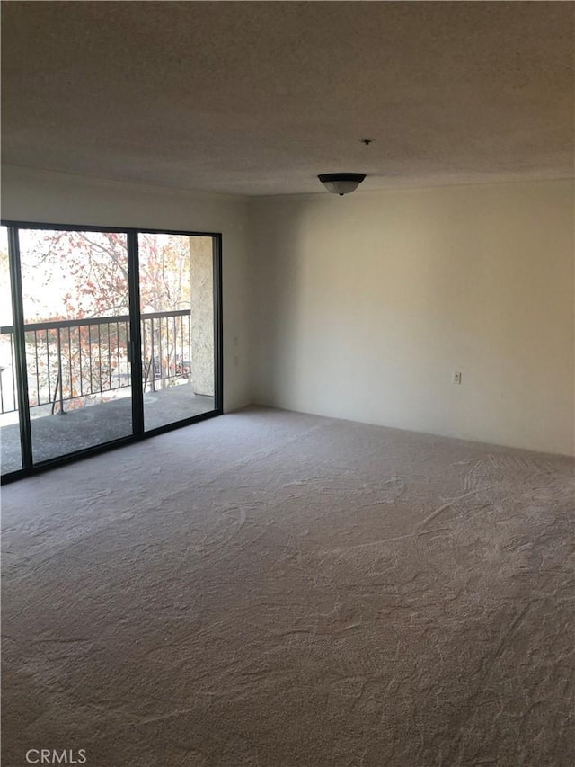 unfurnished room with carpet floors and a textured ceiling