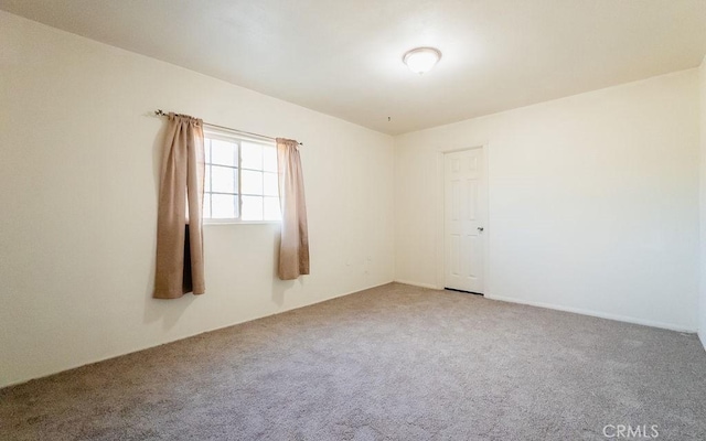 spare room with carpet