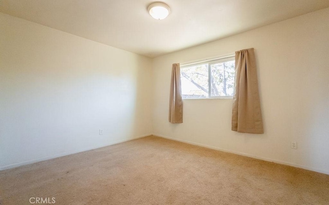 empty room featuring carpet floors