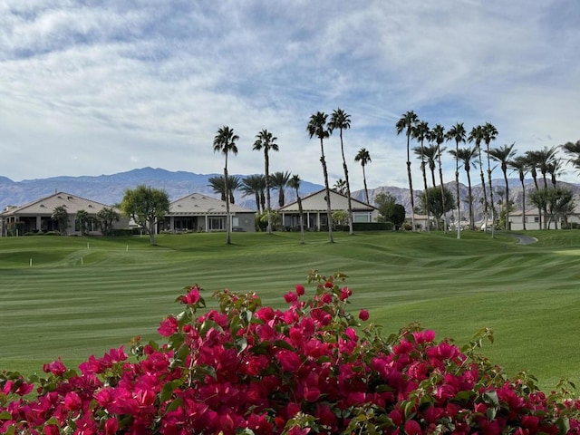 surrounding community featuring a mountain view and a lawn