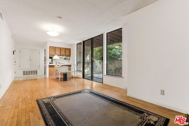 unfurnished living room featuring light hardwood / wood-style floors and a textured ceiling