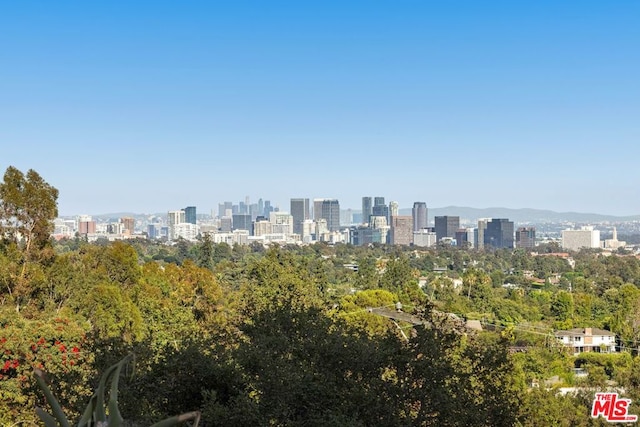 property's view of city