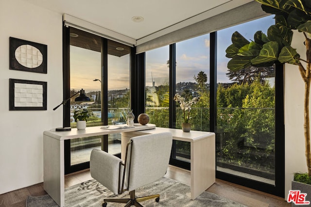 office space with expansive windows and hardwood / wood-style flooring