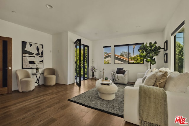 living room with dark hardwood / wood-style flooring